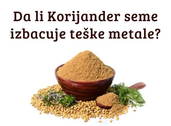 Korijander je biljka koja je izuzetno lekovita i izdvaja se sposobnošću da izbacuje teške metale iz organizma a pogotovo živu.